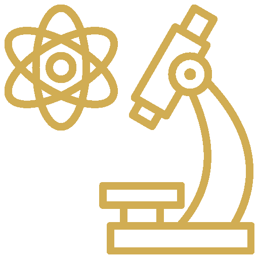 Grade 6 Science/IT Experience